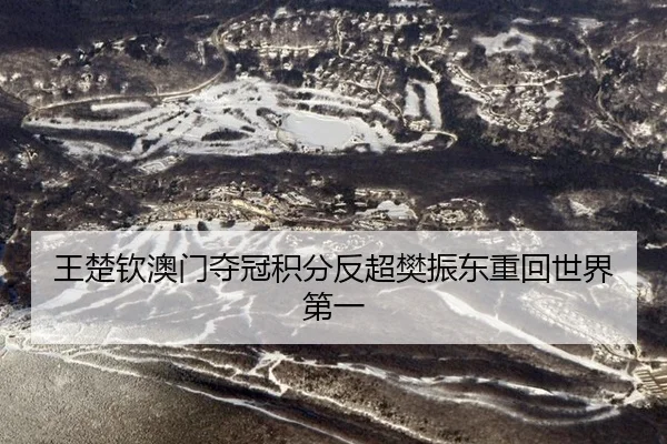 王楚钦澳门夺冠积分反超樊振东重回世界第一